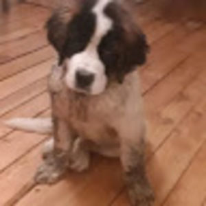 Meet your Posher, Kyle